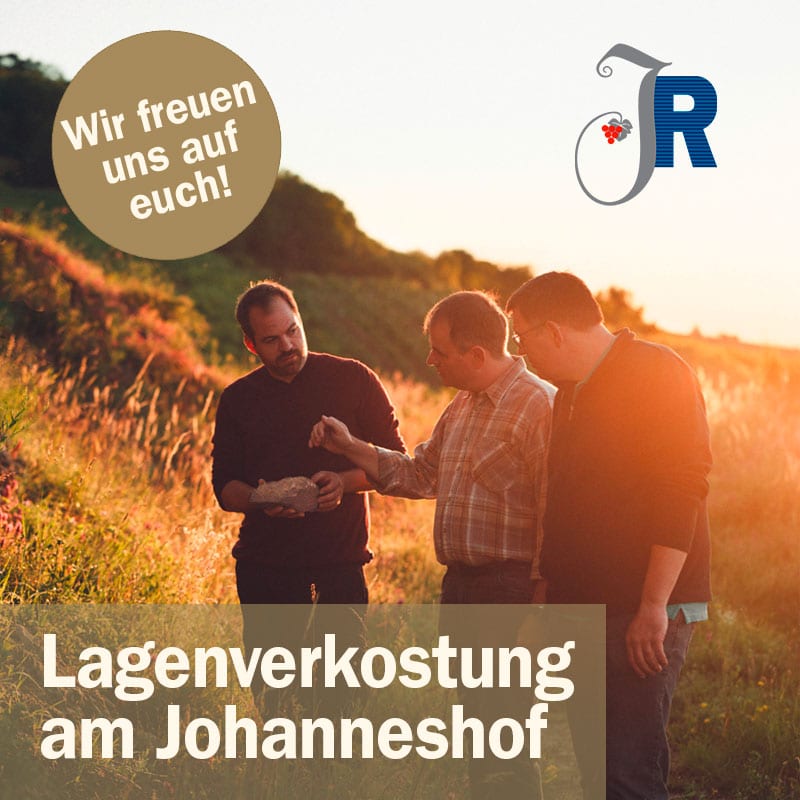 Lagenverkostung am Johanneshof